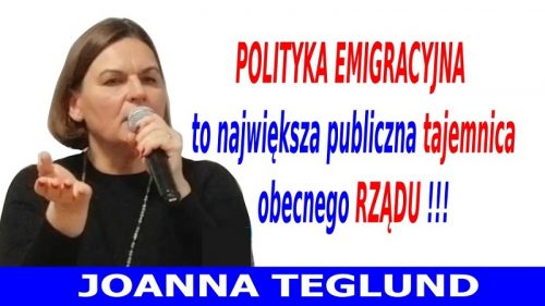 Joanna Teglund - Polityka emigracyjna - 2019